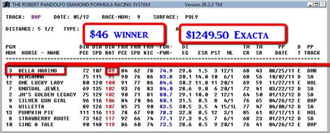 Horse Racing Calculator .